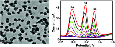 Graphical abstract: Facile synthesis of porous bimetallic alloyed PdAg nanoflowers supported on reduced graphene oxide for simultaneous detection of ascorbic acid, dopamine, and uric acid