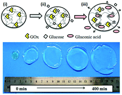 Graphical abstract: Impedimetric transduction of swelling in pH-responsive hydrogels