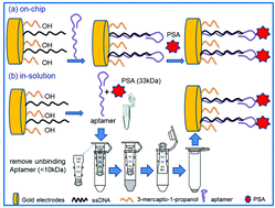 Graphical abstract: A novel immobilization strategy for electrochemical detection of cancer biomarkers: DNA-directed immobilization of aptamer sensors for sensitive detection of prostate specific antigens