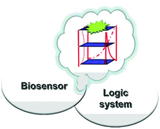 Graphical abstract: Versatile G-quadruplex-mediated strategies in label-free biosensors and logic systems