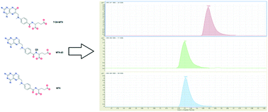 Graphical abstract: A HPLC-SRM-MS based method for the detection and quantification of methotrexate in urine at doses used in clinical practice for patients with rheumatological disease: a potential measure of adherence