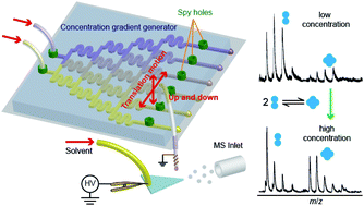 Graphical abstract: Online multi-channel microfluidic chip-mass spectrometry and its application for quantifying noncovalent protein–protein interactions
