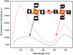 Graphical abstract: Sensitive and selective detection of l-tryptophan using Mn–ZnS QDs as the ratiometric emission probe