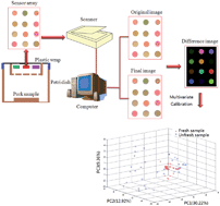 Graphical abstract: Non-destructive evaluation of pork freshness using a portable electronic nose (E-nose) based on a colorimetric sensor array