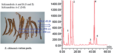 Graphical abstract: Simultaneous quantification of five dibenzocyclooctadiene lignans in Schisandra chinensis by HPLC separation and fluorescence detection
