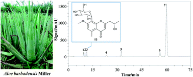 Graphical abstract: Simultaneous HPLC quantification of seven chromones in Aloe barbadensis Miller using a single reference standard