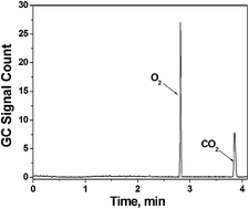 Graphical abstract: Determination of the oxalate content in food by headspace gas chromatography