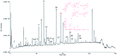 Graphical abstract: Characterization and identification of chemical components in Neopicrorhiza scrphulariiflora roots by liquid chromatography-electrospray ionization quadrupole time-of-flight tandem mass spectrometry