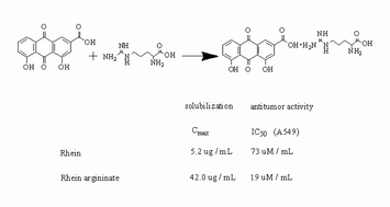 Graphical abstract: Preparation, characterization and cytotoxic activity of rhein argininate