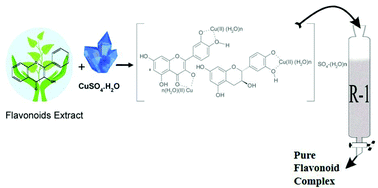 Graphical abstract: Purification of flavonoid metal complexes from Alhagi camelorum with calix[4]arene based impregnated resin