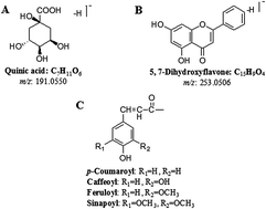 Graphical abstract: Rapid identification of polyphenols in Kudiezi injection with a practical technique of mass defect filter based on high-performance liquid chromatography coupled with linear ion trap/orbitrap mass spectrometry