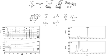 Graphical abstract: Development of a quantitative analysis method for the 12 marker compounds in Palmijihwang-hwan, a herbal formula, using a reversed-phase C18 column and an amino column by HPLC