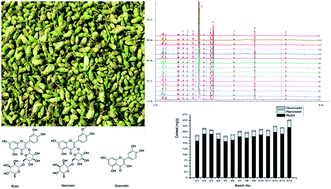 Graphical abstract: Chemical fingerprint and simultaneous determination of flavonoids in Flos Sophorae Immaturus by HPLC-DAD and HPLC-DAD-ESI-MS/MS combined with chemometrics analysis