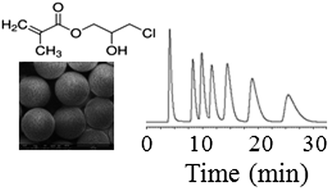 Graphical abstract: Octadecylamine-attached poly(3-chloro-2-hydroxypropyl methacrylate-co-ethylene dimethacrylate) microspheres as a new stationary phase for microbore reversed phase chromatography