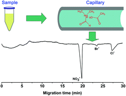 Graphical abstract: Capillary electrophoretic separation of anions in dimethylformamide–acetic acid medium