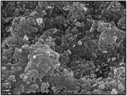 Graphical abstract: Monitoring of thiocyanate as a biomarker in saliva and serum samples by a combination of solid-phase extraction based on a layered double hydroxide nano-sorbent and gas chromatography