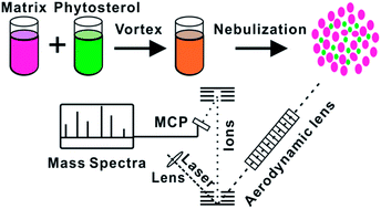 Graphical abstract: Analysis of phytosterol by MALDI-TOF mass spectrometry