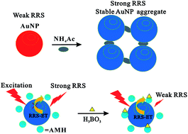 Graphical abstract: Selective determination of trace boron based on resonance Rayleigh scattering energy transfer from nanogold aggregate to complex of boric acid–azomethine-H