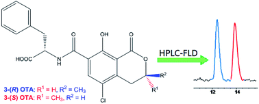 Graphical abstract: Detection of ochratoxin A based on the use of its diastereoisomer as an internal standard