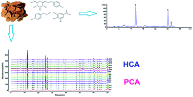 Graphical abstract: Combinative method using multi-components quantitation by single reference standard and HPLC fingerprint for comprehensive evaluation of Rhodiola crenulata H.Ohba