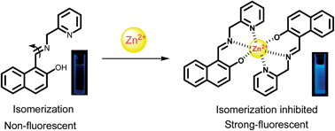 Graphical abstract: A facile fluorescent chemosensor based on naphthalene-derived Schiff base for zinc ions in aqueous solution