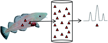 Graphical abstract: A specific, highly enriching and “green” method for hollow fiber liquid phase microextraction of ionizable pharmaceuticals from fish tissue