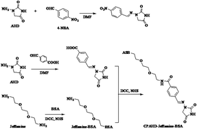 Graphical abstract: Development of a direct competitive chemiluminescent ELISA for the detection of nitrofurantoin metabolite 1-amino-hydantoin in fish and honey