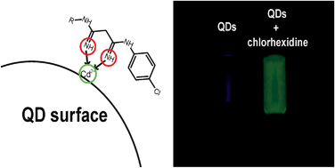 Graphical abstract: A CdTe–MPA quantum dot fluorescence enhancement flow method for chlorhexidine determination