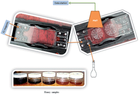 Graphical abstract: A novel microfluidic device for estimating the total phenolic/antioxidant level in honey samples using a formaldehyde/potassium permanganate chemiluminescence system