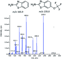 Graphical abstract: Bioanalysis of riluzole in human plasma by a sensitive LC-MS/MS method and its application to a pharmacokinetic study in South Indian subjects