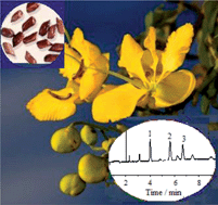 Graphical abstract: A novel nonaqueous capillary electrophoresis method for effective separation and simultaneous determination of aurantio-obtusin, emodin and rhein in semen cassiae and cassia seed tea