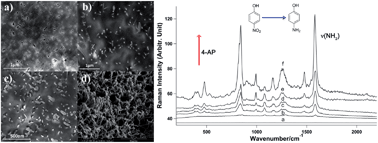 Graphical abstract: In situ SERS interrogation of catalytic reaction on three-dimensional gold nanowire carpeted polycarbonate membranes