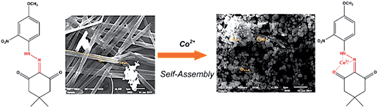 Graphical abstract: Facile, cost effective synthesis and DFT-based studies of substituted aryl hydrazones of β-diketones: a new selective fluorescent chemosensor for Co2+