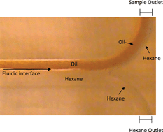 Graphical abstract: Simultaneous and rapid asphaltene and TAN determination for heavy petroleum using an H-cell