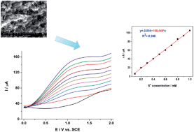 Graphical abstract: Electrochemical detection of sulphide in water/seawater using nanostructured carbon–epoxy composite electrodes