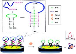 Graphical abstract: A signal on aptamer-based electrochemical sensing platform using a triple-helix molecular switch