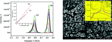 Graphical abstract: Electrodeposited antimony and antimony–gold nanocomposite modified carbon paste electrodes for the determination of heavy metal ions