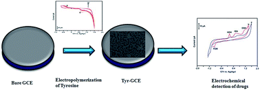 Graphical abstract: Electrochemical determination of selected antihypertensive and antituberculosis drugs at a tyrosine-modified electrode