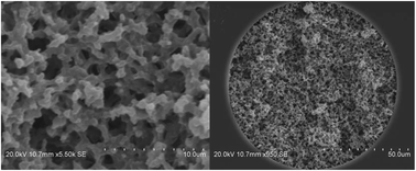 Graphical abstract: One-pot synthesis of a monolithic silica capillary column bed for μ-HPLC using a template induced method