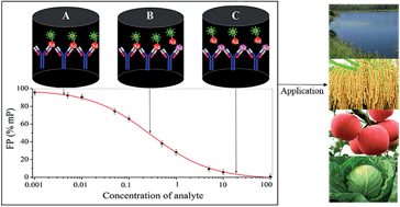 Graphical abstract: Fluorescence polarization immunoassay for highly efficient detection of clothianidin in agricultural samples