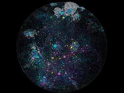 Graphical abstract: Prediction of protein phenotype based on protein interaction network by coupling genetic algorithm and K-nearest neighbor algorithm