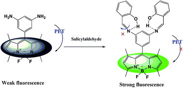 Graphical abstract: A BODIPY based indicator for fluorogenic detection of salicylaldehyde with off–on emission