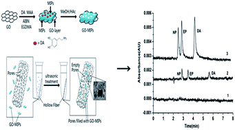 Graphical abstract: Hollow fiber-supported graphene oxide molecularly imprinted polymers for the determination of dopamine using HPLC-PDA