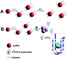 Graphical abstract: A simple colorimetric sensor for potassium ion based on DNA G-quadruplex conformation and salt-induced gold nanoparticles aggregation