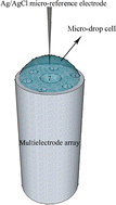 Graphical abstract: Simultaneous voltammetric determination of ascorbic acid and uric acid using a seven-hole carbon nanotube paste multielectrode array