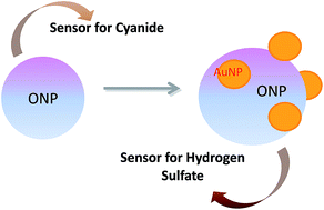 Graphical abstract: Anion recognition properties of chromone-based organic and organic–inorganic hybrid nanoparticles