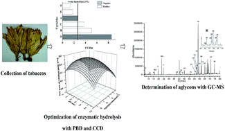 Graphical abstract: Enzymatic hydrolysis followed by gas chromatography-mass spectroscopy for determination of glycosides in tobacco and method optimization by response surface methodology