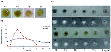 Graphical abstract: Cotton fabric as an immobilization matrix for low-cost and quick colorimetric enzyme-linked immunosorbent assay (ELISA)