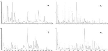 Graphical abstract: Rapid and reliable method for analysis of raw and honey-processed astragalus by UPLC/ESI-Q-TOF-MS using HSS T3 columns