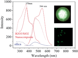 Graphical abstract: Room temperature phosphorescence of the biocompatible B2O3/SiO2 nanocomposite and its application for cellular imaging